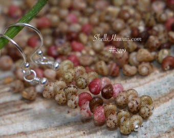1" Dainty Island Minimalist Kahelelani Shell Earrings Niihau #3119