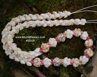 Momi & Kahelelani shell lei/Niihau shell necklace #22105