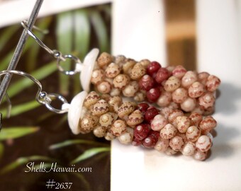 1 1/4" Kahelelani poepoe style Shell Earrings #2637