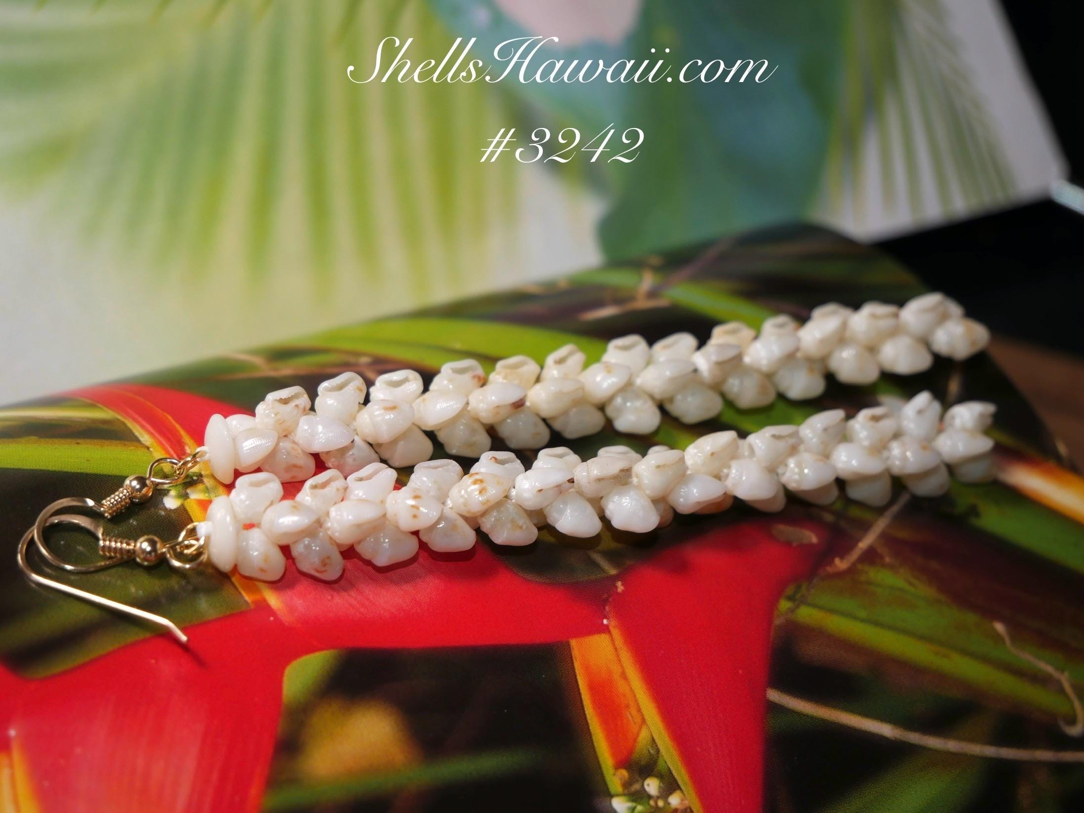ShellsHawaii - Etsy 日本