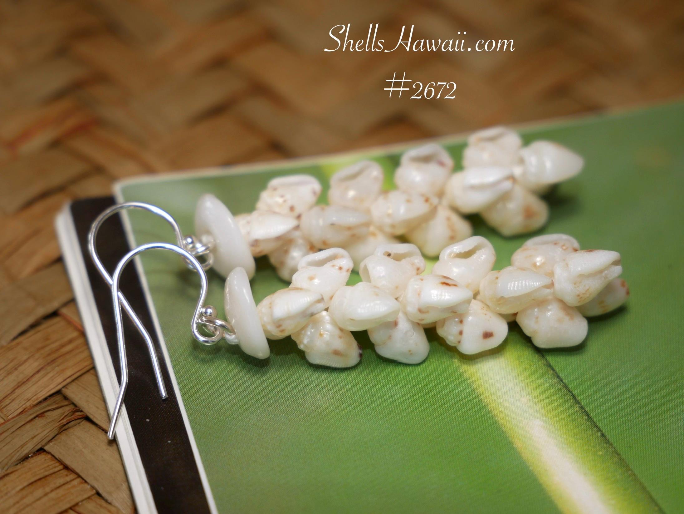 ShellsHawaii - Etsy 日本