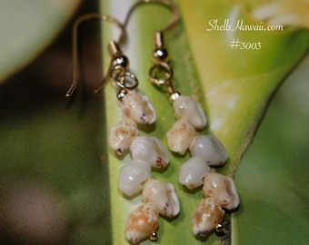 1" Niʻihau Momi Shell Earrings – Minimalist Dainty Drop Island Jewelry Gift #3003