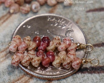 1" Niihau Shell Earrings Kahelelani Minimalist Drop Hawaiian Jewelry #3113