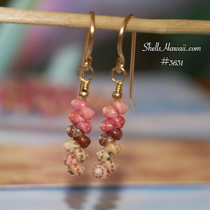 3/4" Mini Niihau Shell Earrings Gift Kahelelani Dainty Drop #3631
