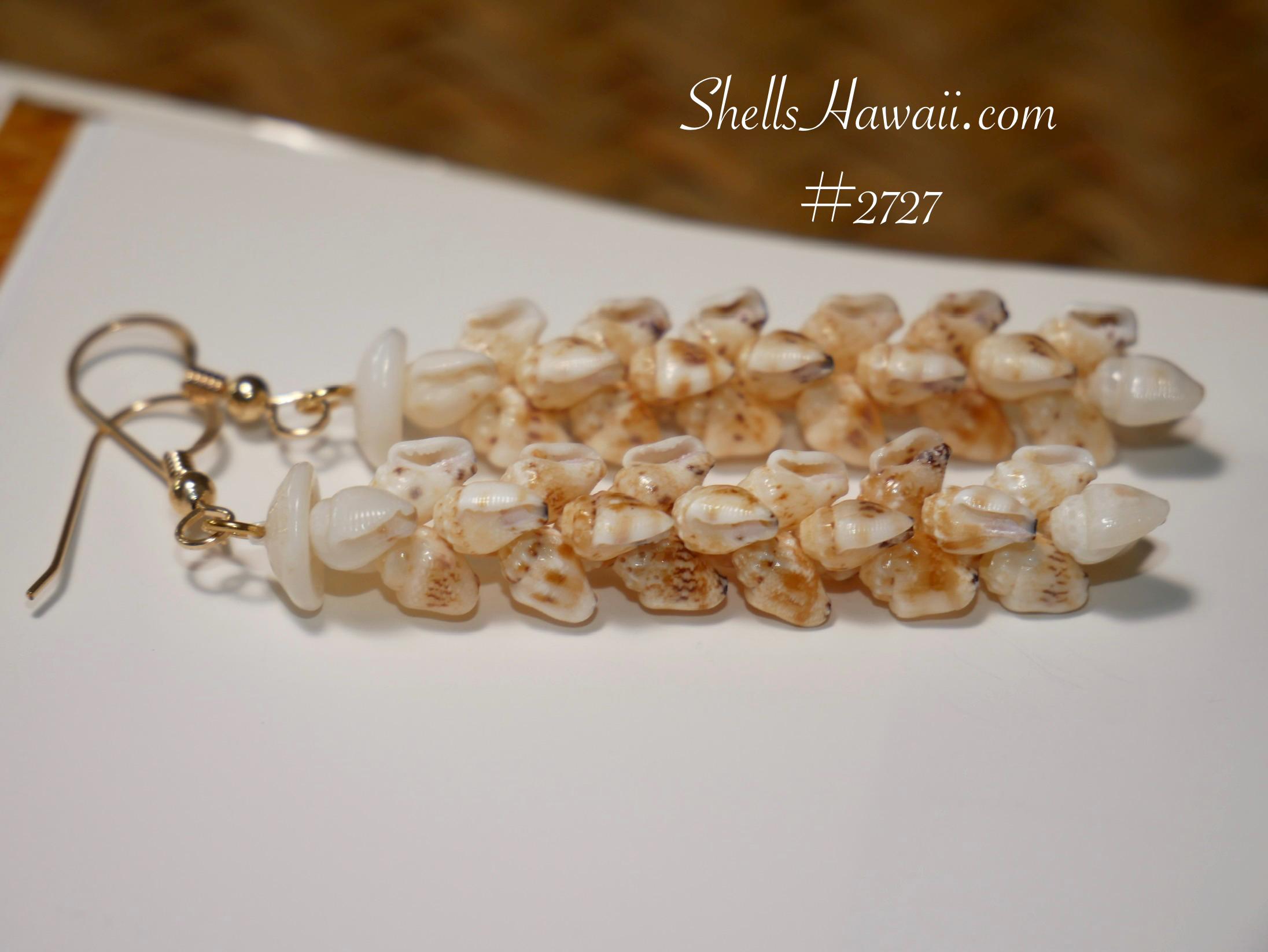 ShellsHawaii - Etsy 日本