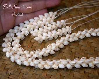 20" Niʻihau Momi Pikake Style Lei & Earrings Set #2023