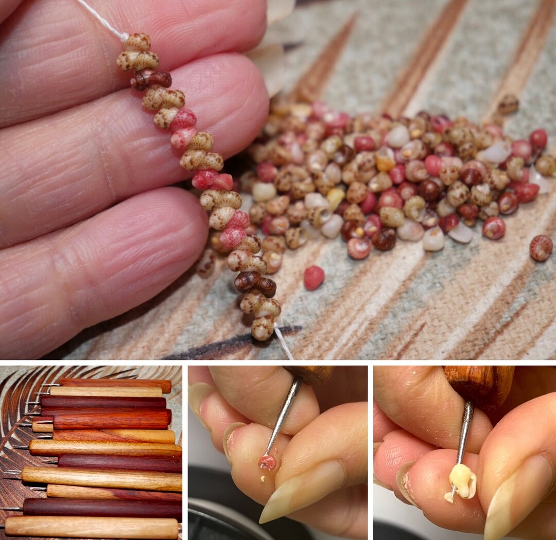 550 Pcs Poking Tool With Mix Color Kahelelani Shells Supply 2166 Etsy