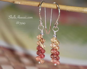 3/4" Hawaiian shell earrings Kahelelani shells from Hawaii #3190