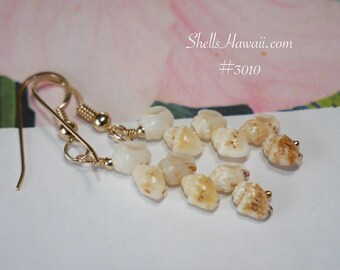 1" Minimalist Hawaiian Shell Earrings Momi Lenalena Ombre Simple Drop #3010
