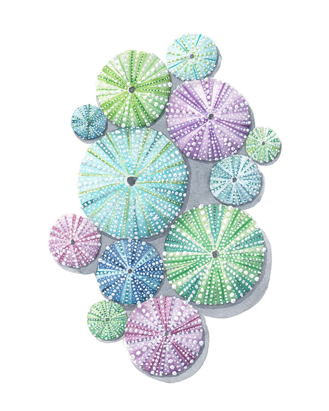 Sea Urchin Shells Watercolor Fine Art Print Blue Green Purple | Etsy