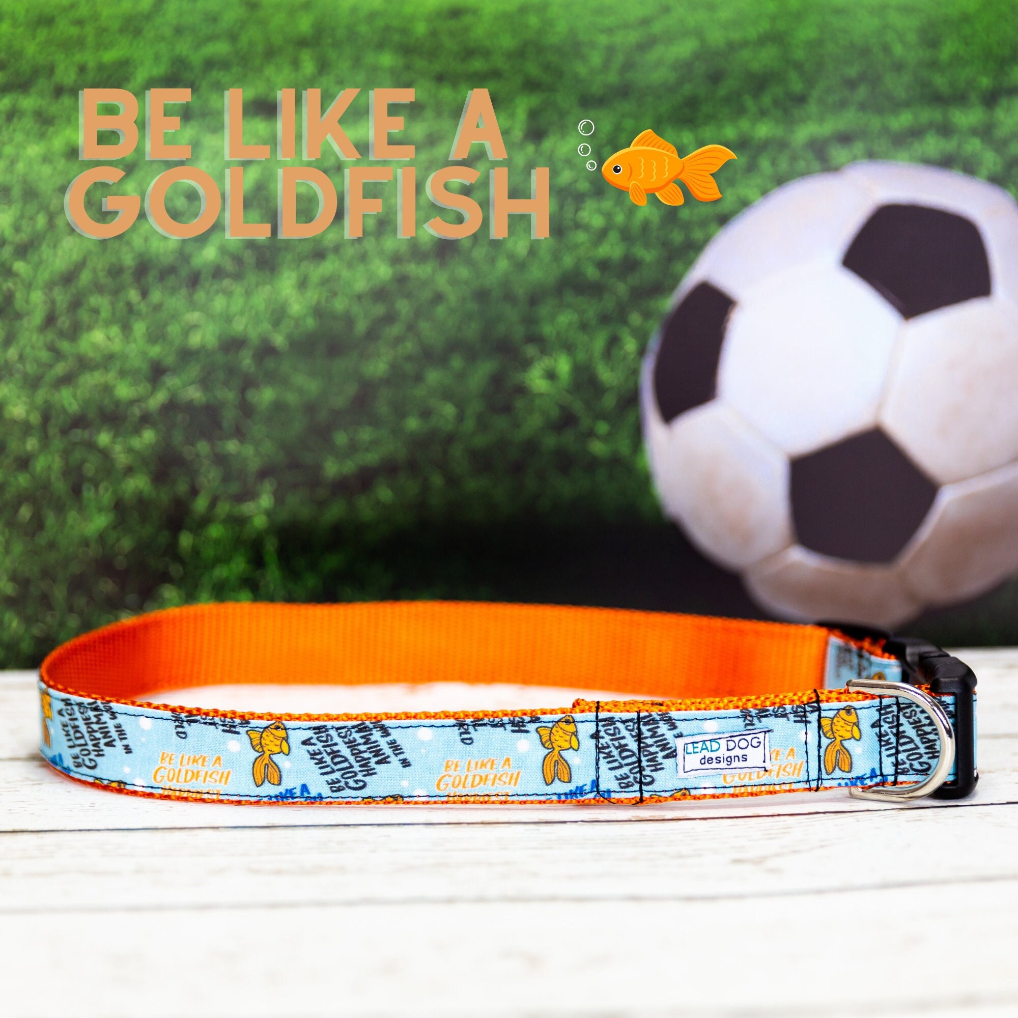 Coach cat best sale collar