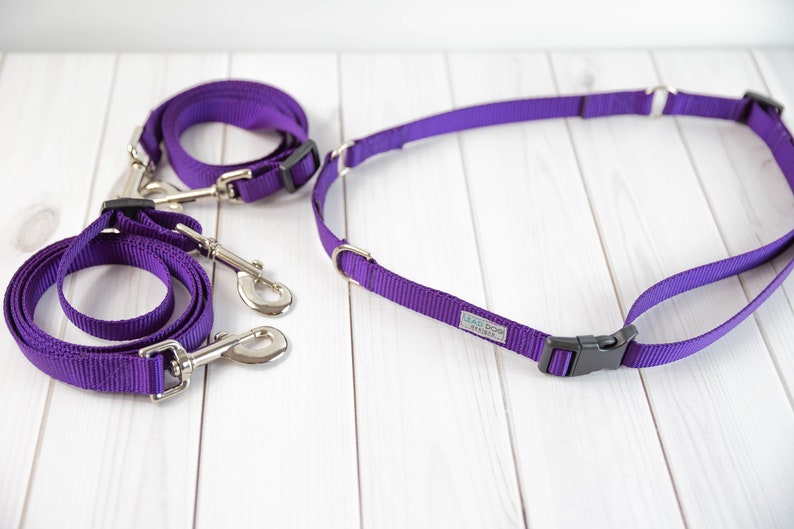 Hands Free Leash dog training nylon dog leash double dog Etsy
