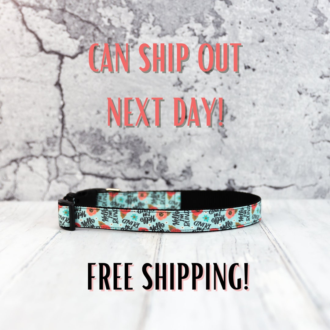 Blind and Special Needs Dog Collar, I See With My Heart, Visually