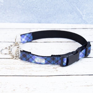 Buckle Martingale Dog Collar, Personalized Laser Engraved Buckle Dog Collar, Chain Martingale Dog Collar, Limited Slip Collar Training