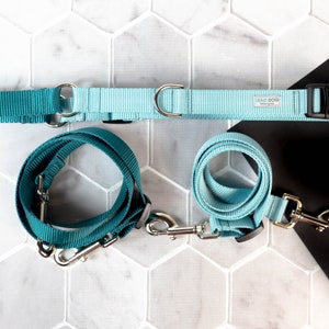 Hands Free Leash, Reflective Dog Leash, Dog Training, Nylon Dog Leash, Double Dog Leash, Running Leash, Waist Leash, Trail Running