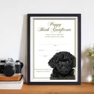 Geboorteakte puppy - Poedel Zwart (Direct downloaden)