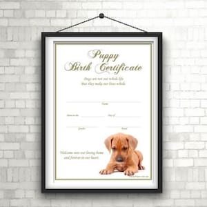 Geboorteakte puppy - Rhodesian Ridgeback 2 (direct downloaden)