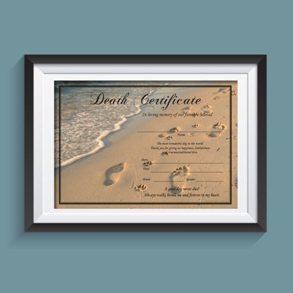 Paw Print Certificate Etsy