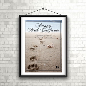 Geboorteakte puppy - Strand (direct downloaden)