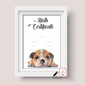 Geboorteakte puppy - Engelse Bull Dog (direct downloaden)
