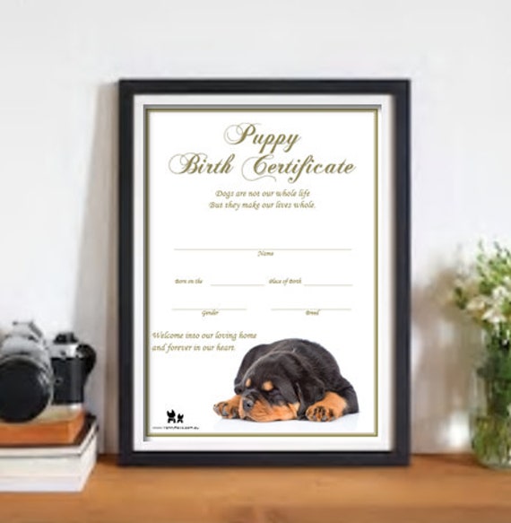 How to Get Birth Certificate for Dog
