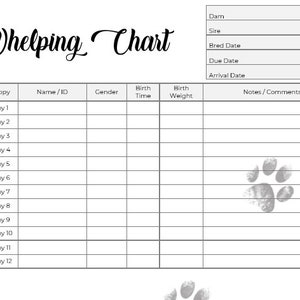Puppy Breeder/Litter Pack - Classic Paw Prints - Breeder forms, PDF Document image 4