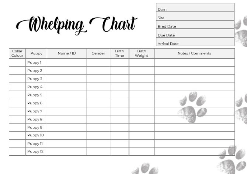 Puppy Breeder/Litter Pack - Classic Paw Prints - Breeder forms, PDF Document image 4