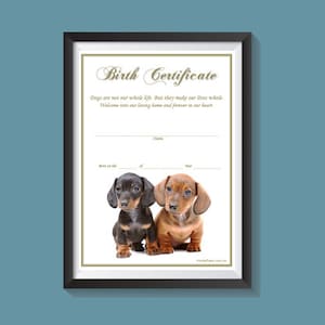Certificato di nascita del cucciolo - Bassotto (download istantaneo)