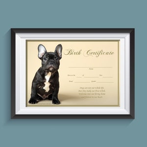Welpe Geburtsurkunde - Frenchie Black (Instant Download)