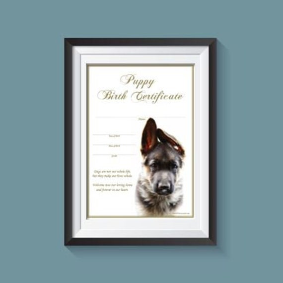 Puppy Birth Certificate German Shepherd Instant Download Etsy