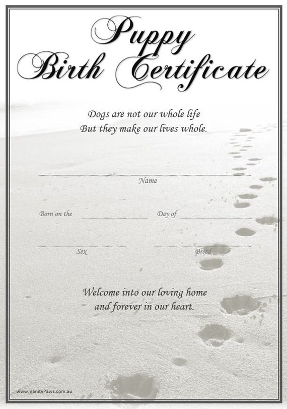 how to get dog birth certificate