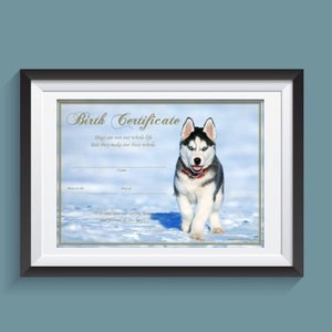 Geboorteakte puppy - Husky (direct downloaden)