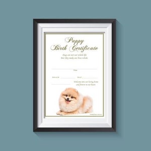 Welpe Geburtsurkunde - Pommern Fluffy (Instant Download)