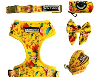 Spring Floral Flowers - Dog lead leash collar bow harness bright yellow pink blue