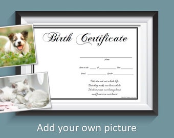 Pet / Puppy / Kitten Birth Certificate - Blank (Instant Download)