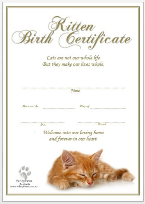 cat-birth-certificate-free-printable