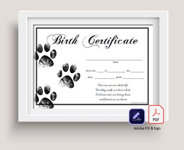 Pet / Puppy / Kitten Pet Birth Certificate Paw Prints instant Download - Etsy pet-puppy-kitten-pet-birth-certificate-paw-prints-instant-download-etsy