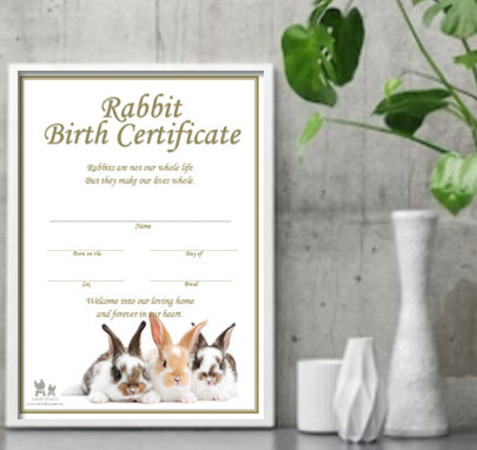 Rabbit Birth Certificate instant Download Etsy