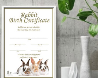 Bunny Birth Certificate Printable Rabbit Document Certificate of Birth - Etsy