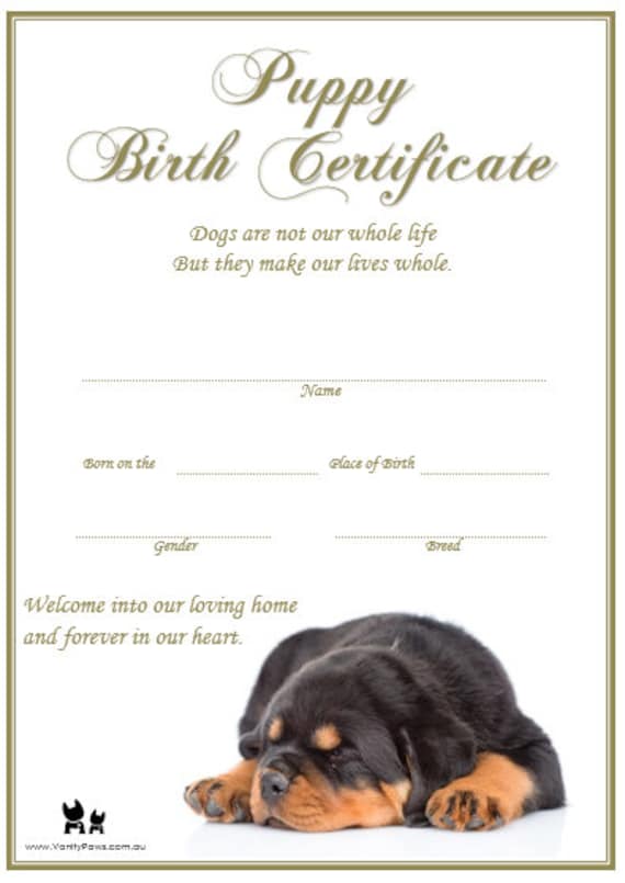 Dog Birth Certificate Template from i.etsystatic.com