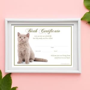 Geboorteakte kitten - Brits kort haar (direct downloaden)