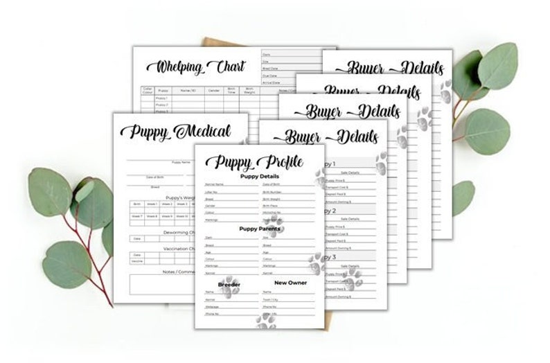 Puppy Breeder/Litter Pack - Classic Paw Prints - Breeder forms, PDF Document image 1