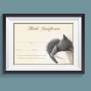 Certificado de nacimiento de gatito - Gatito gris durmiente (descarga instantánea)