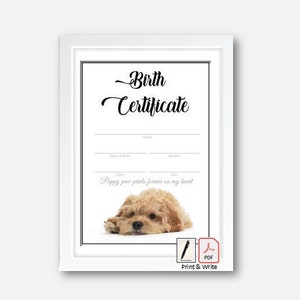 Geboorteakte puppy - Cockapoo (direct downloaden)