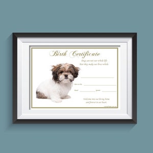 Certificado de nacimiento de cachorro - Shih Tzu