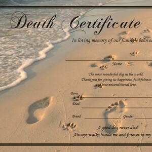 Puppy Death Certificate Beach Paw Print instant Download - Etsy