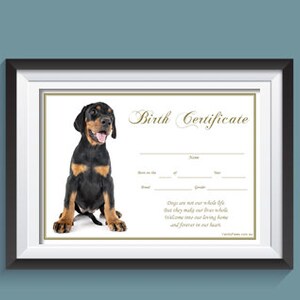 Geboorteakte puppy - Doberman White (direct downloaden)