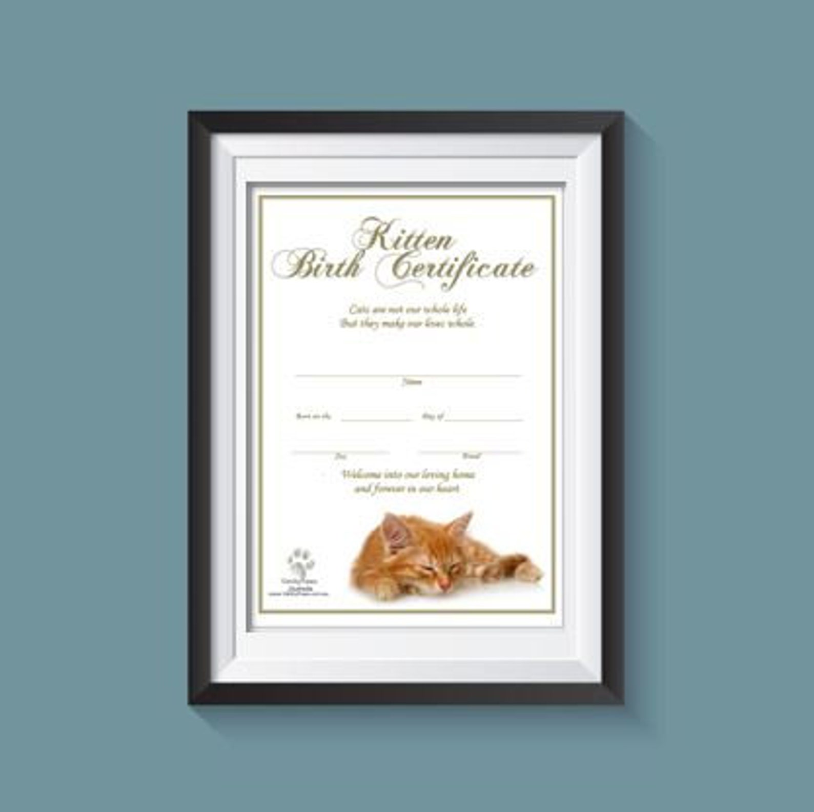 kitten-birth-certificate-ginger-instant-download-etsy-canada