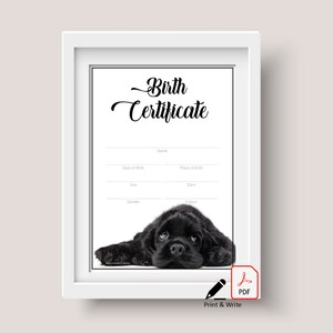 Geboorteakte puppy - Cocker Spaniel (direct downloaden)