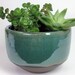 Succulent Planter, Ceramic Planter, Stoneware Planter, Rustic Planter, Flower Pot, Pottery Planter, Cactus Pot, Drainage Hole, MADE TO ORDER